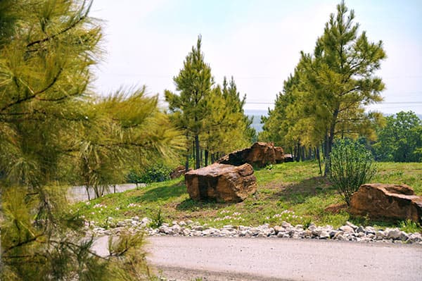 American Waste Control, Inc. photo