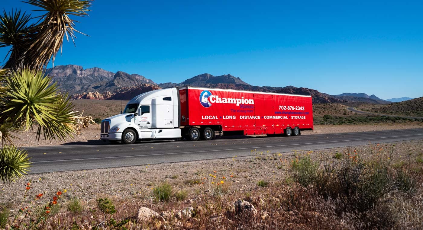 Champion Movers photo