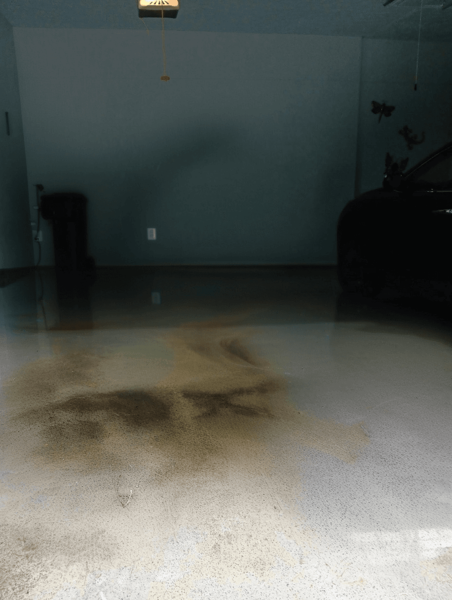Clutter Cleaners photo