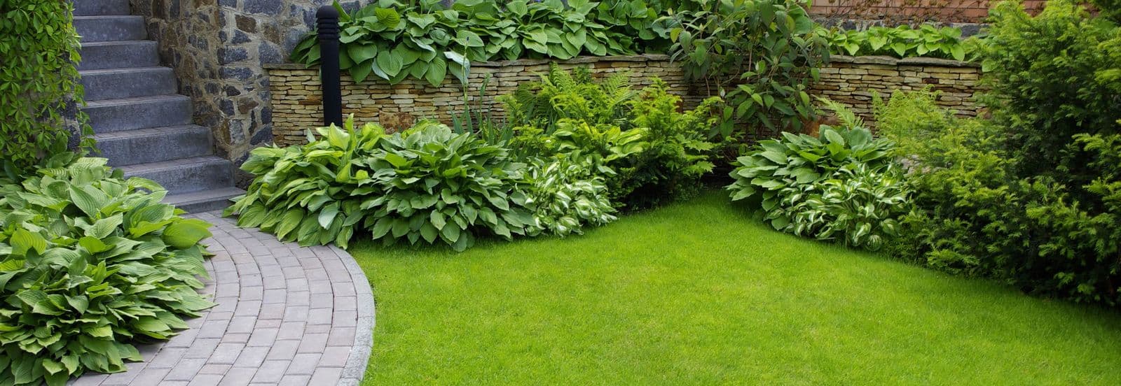 Gary's Tree and Yard Services photo