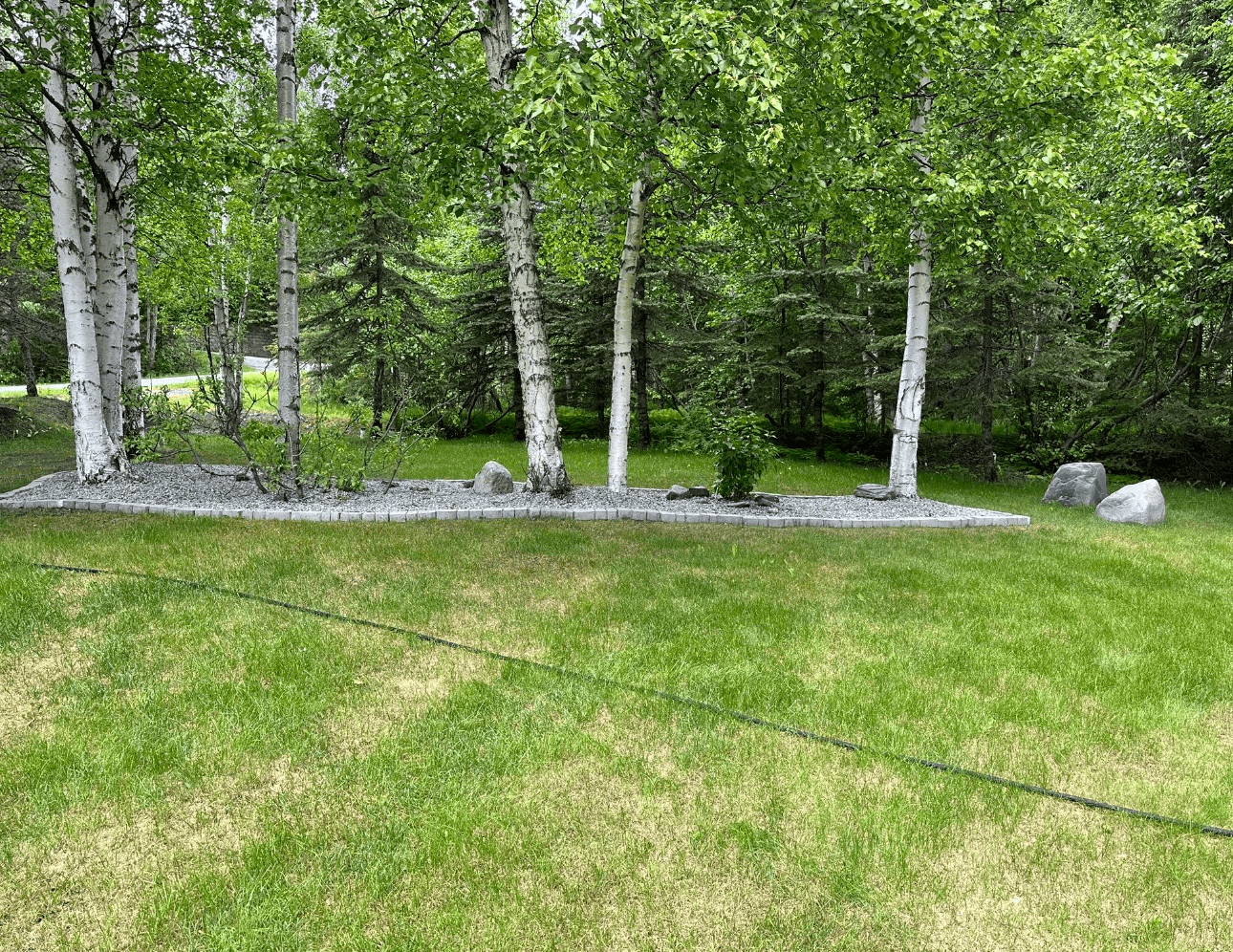 LuVan Bert's, LLC photo