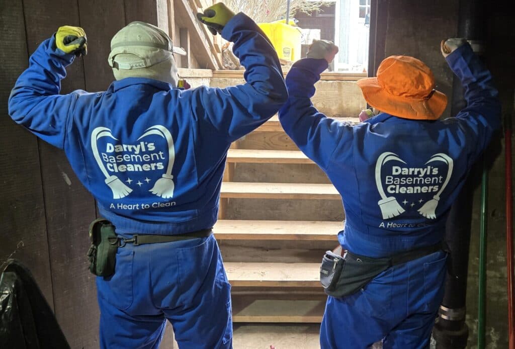 Darryl's Basement Cleaners photo