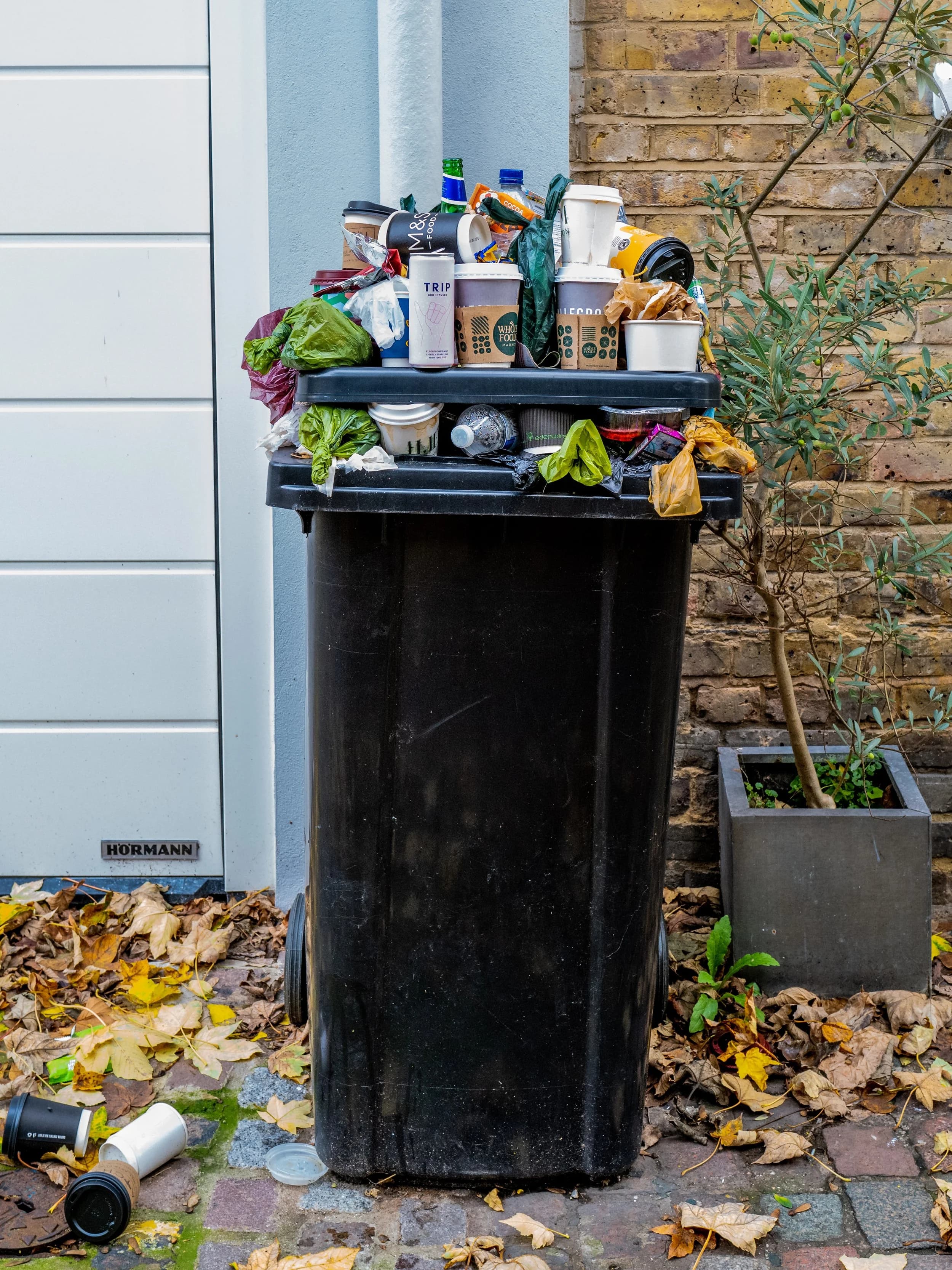 Mainely Trash photo