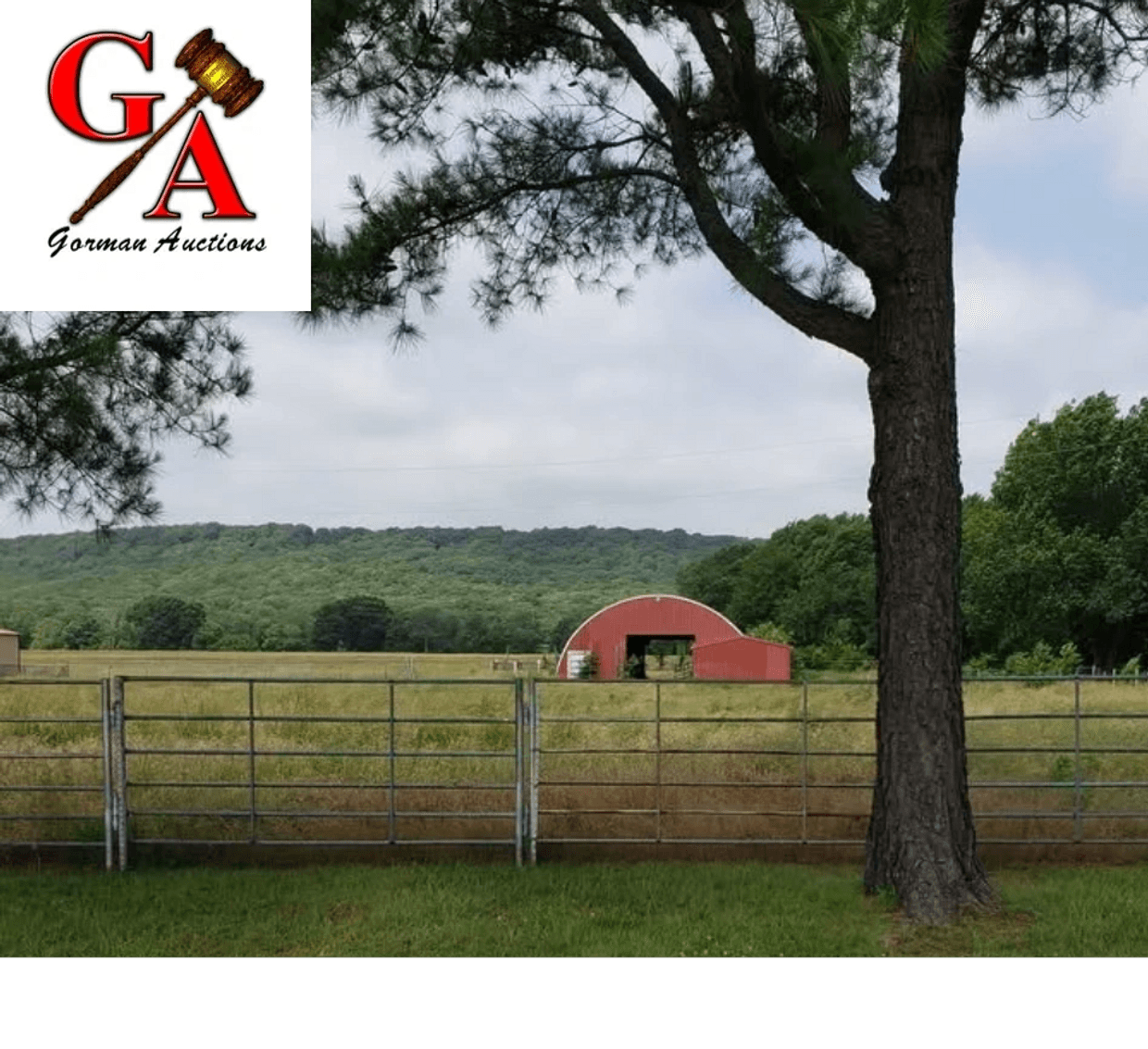 Gorman Auctions LLC photo