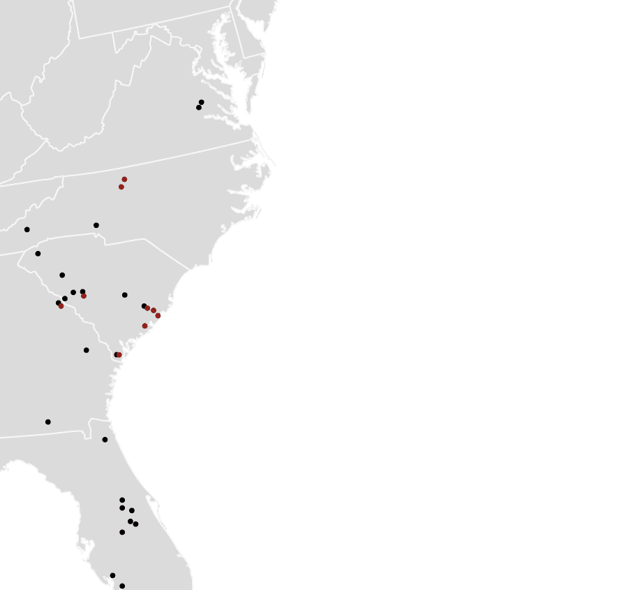 Adams Property Group photo