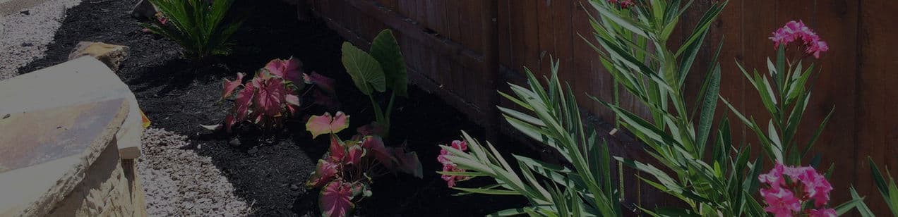New Growth Landscaping photo