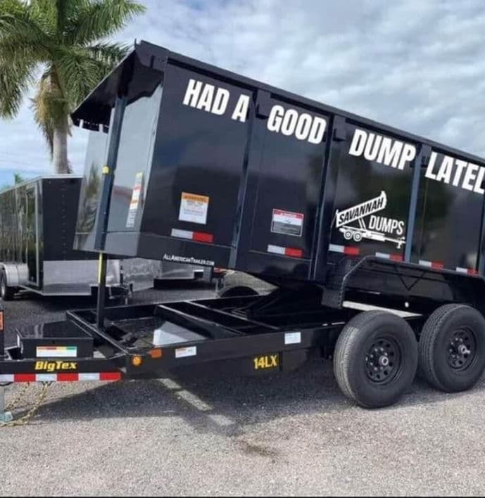 Savannah Dumps photo