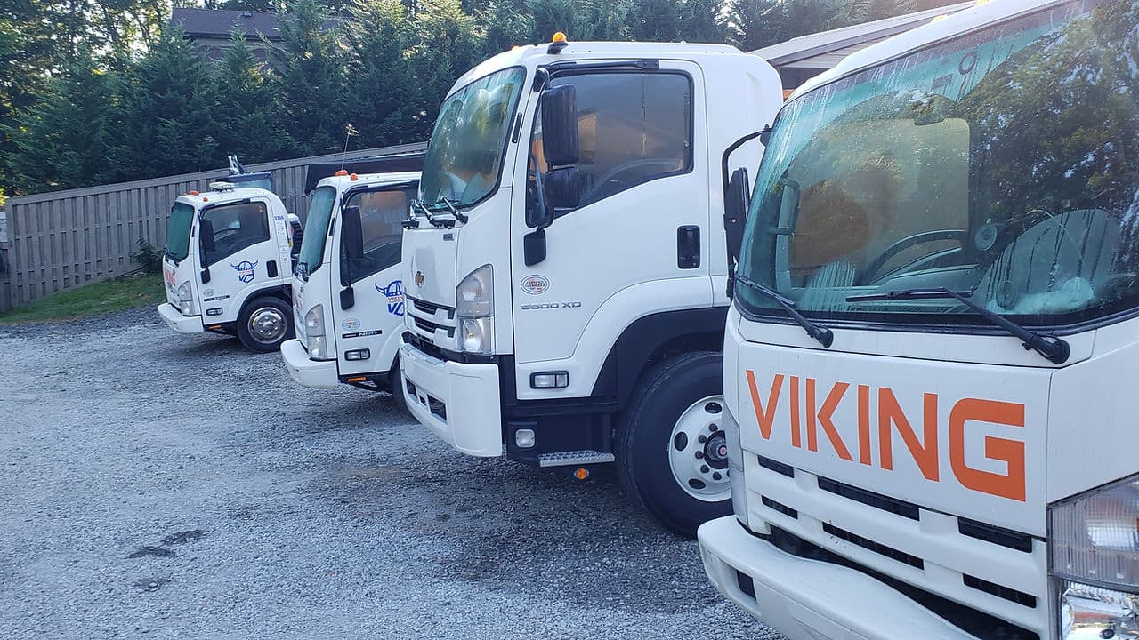 Viking Trashouts photo