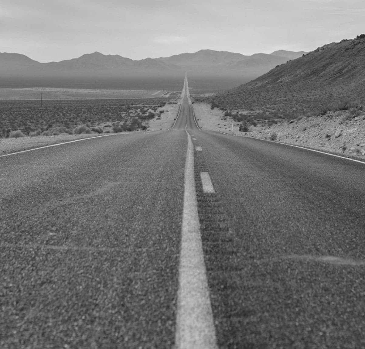 Rt 66 Auctions, LLC photo
